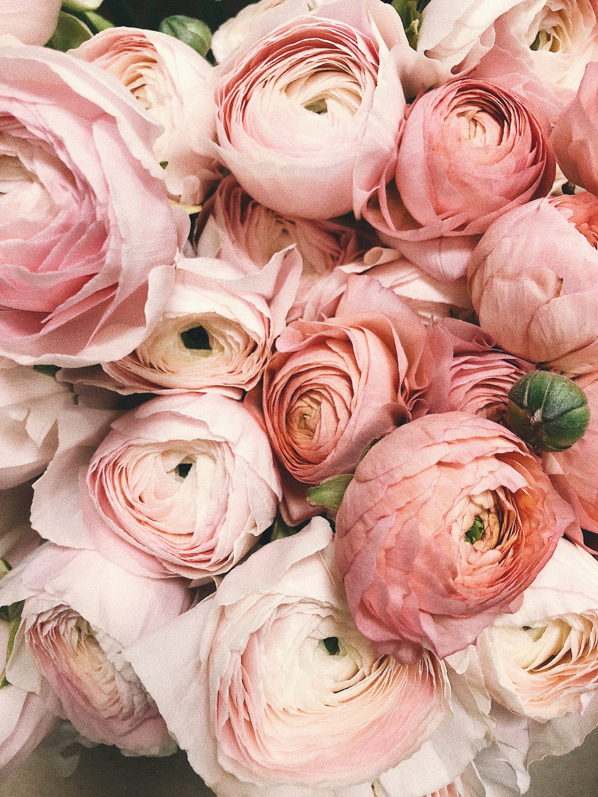 Valentines February Offer – Romancing the spirit Valentines February Offer – Romancing the spirit